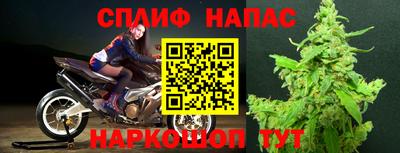 jwh Будённовск
