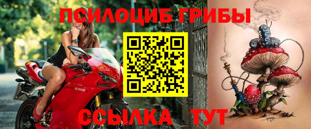 Галлюциногенные грибы MAGIC MUSHROOMS Красный Сулин